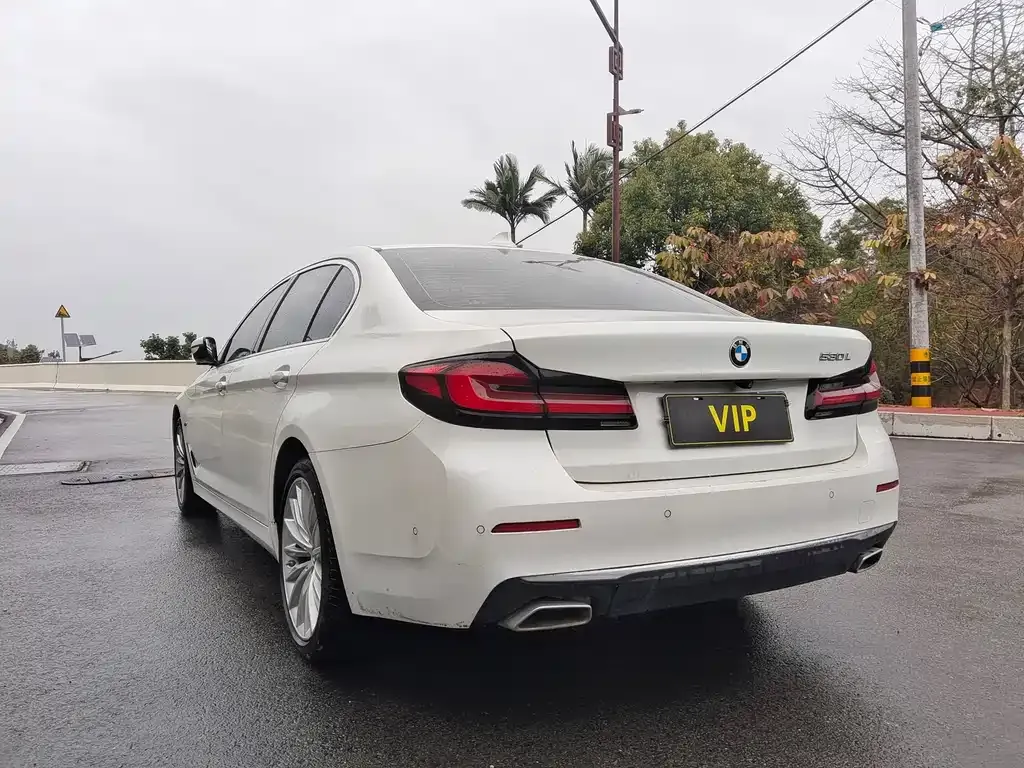 BMW 5 Series 2021 из CN, фото 7