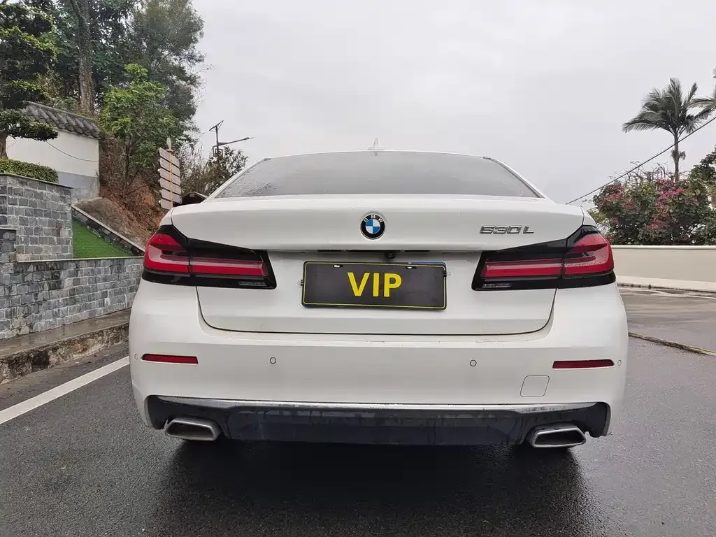 BMW 5 Series 2021 из CN, фото 3