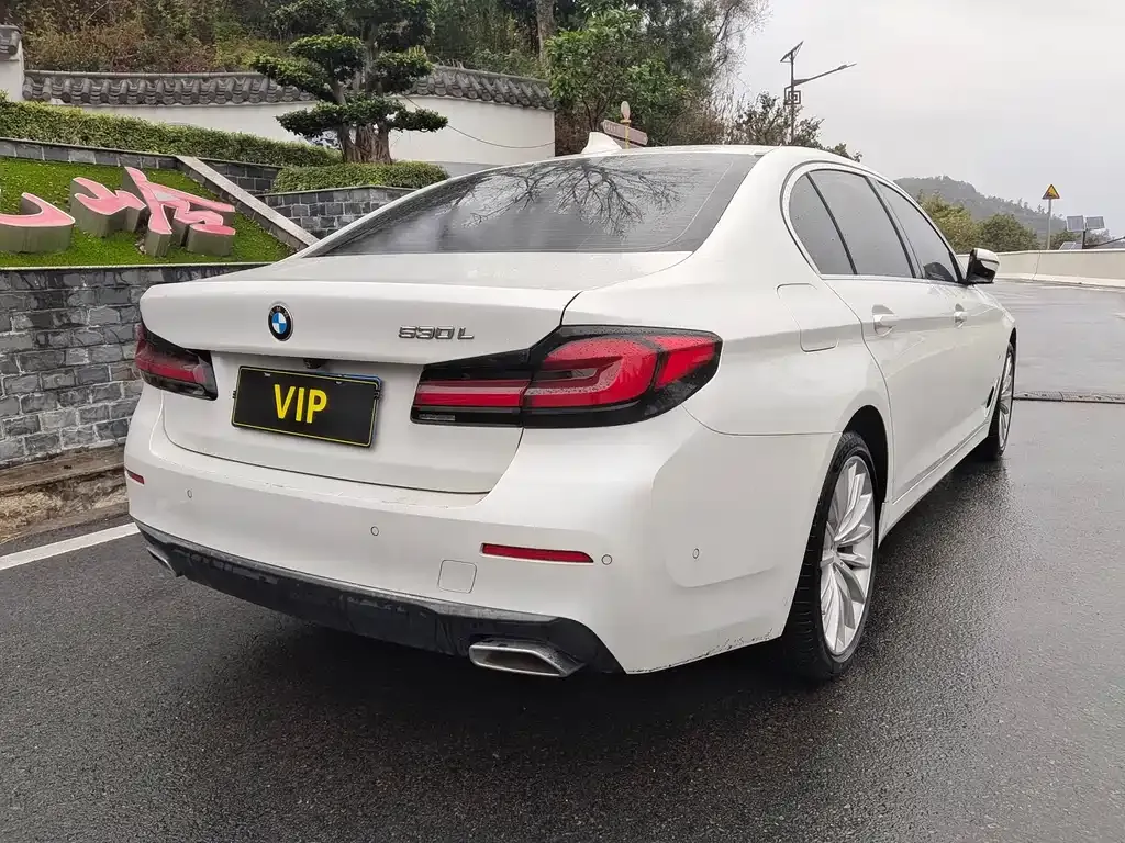 BMW 5 Series 2021 из CN, фото 8