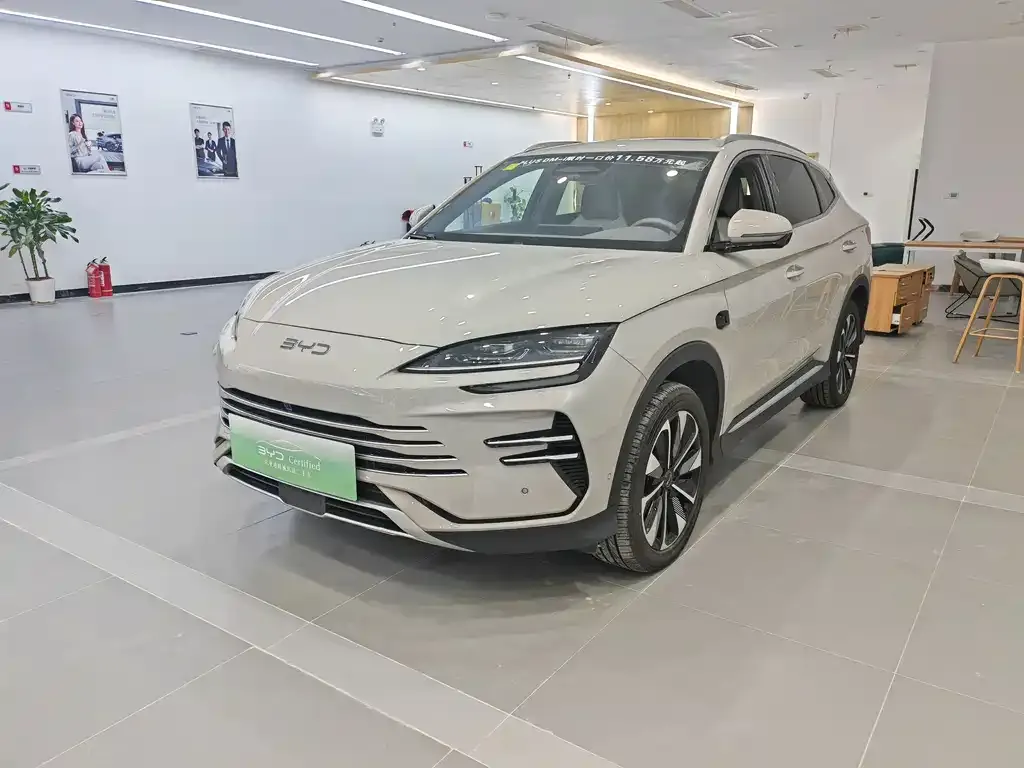BYD PLUS New Energy 2025 из CN, фото 1