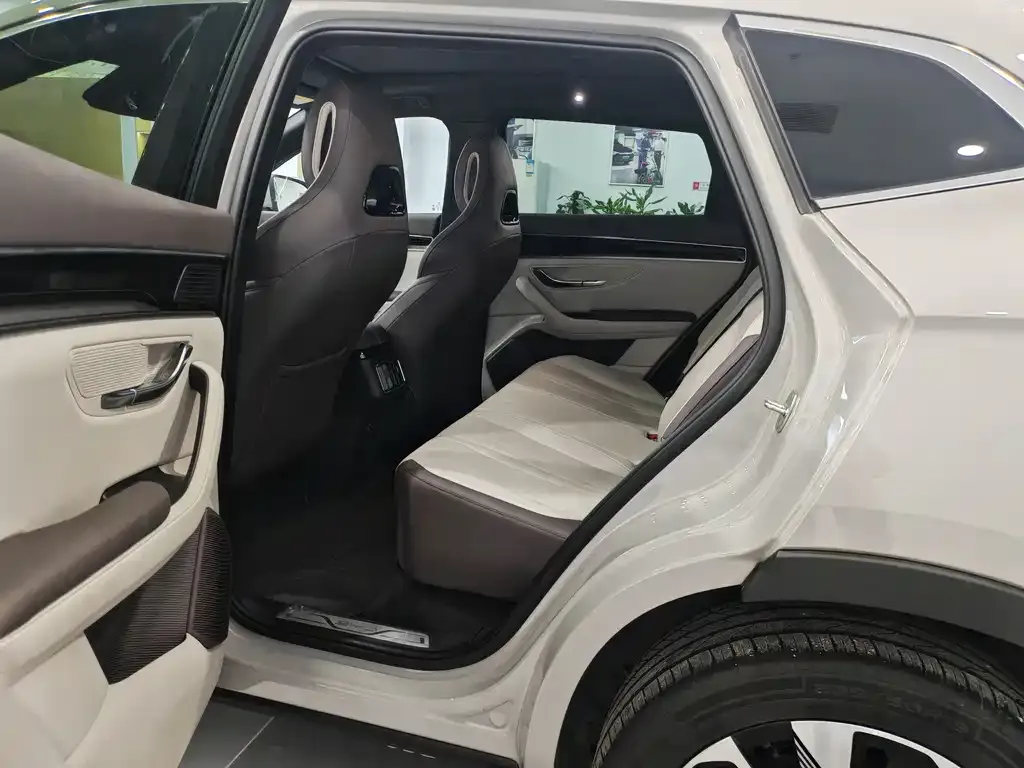 BYD PLUS New Energy 2025 из CN, фото 2