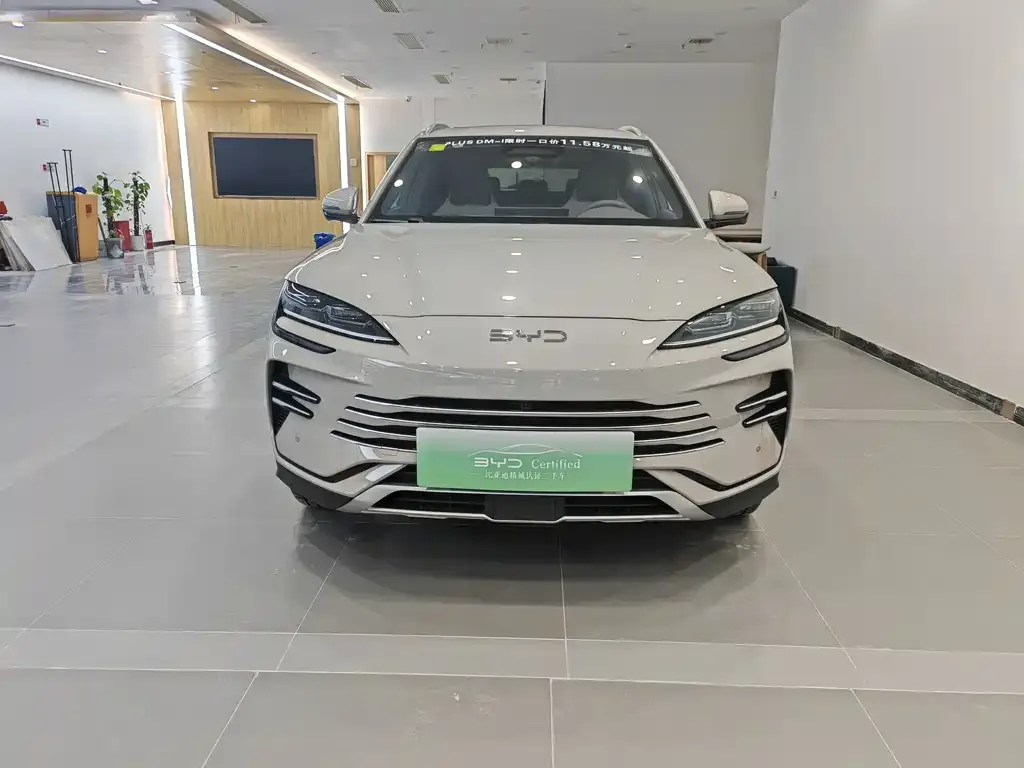 BYD PLUS New Energy 2025 из CN, фото 5