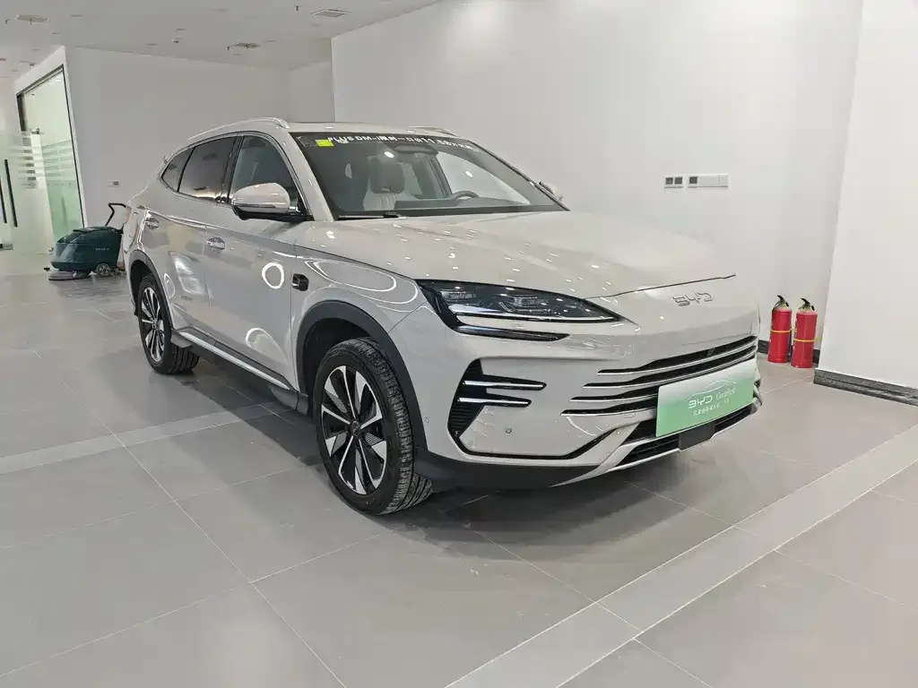 BYD PLUS New Energy 2025 из CN, фото 6