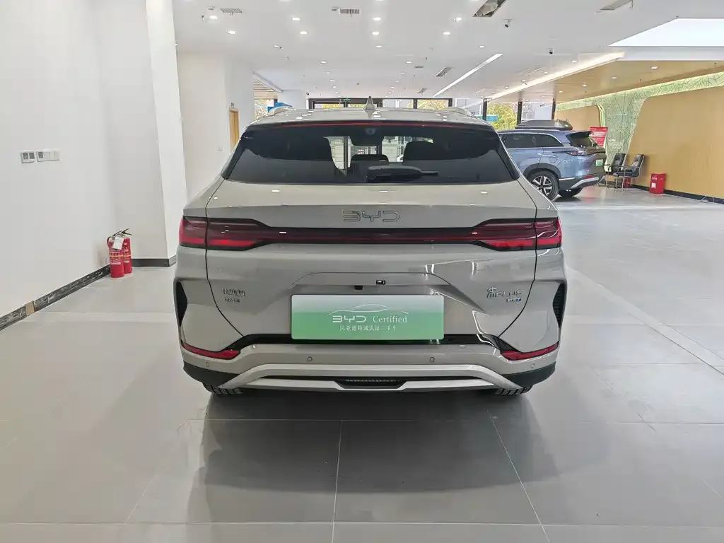BYD PLUS New Energy 2025 из CN, фото 3