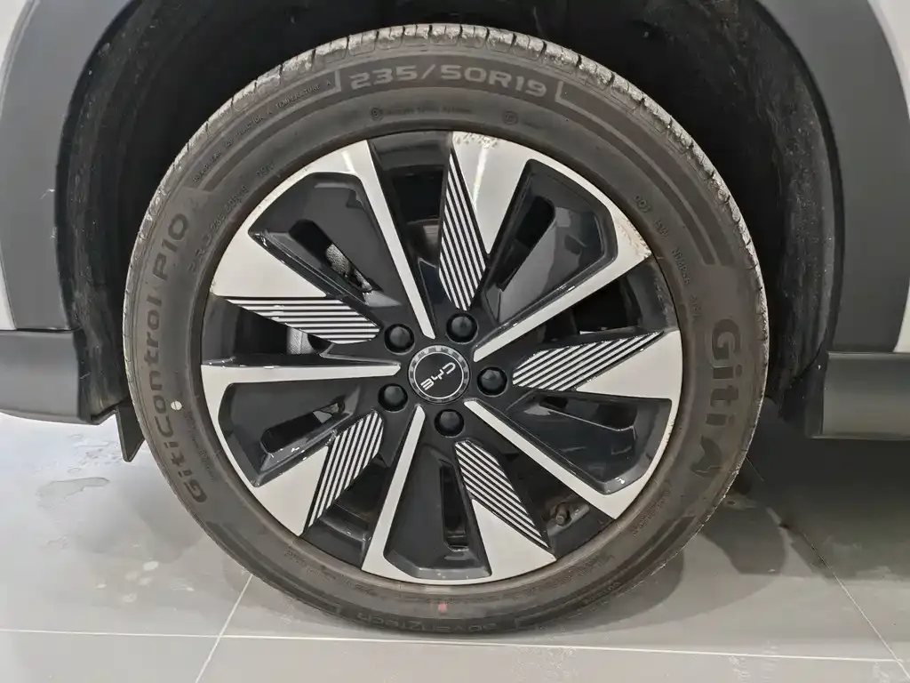 BYD PLUS New Energy 2025 из CN, фото 7