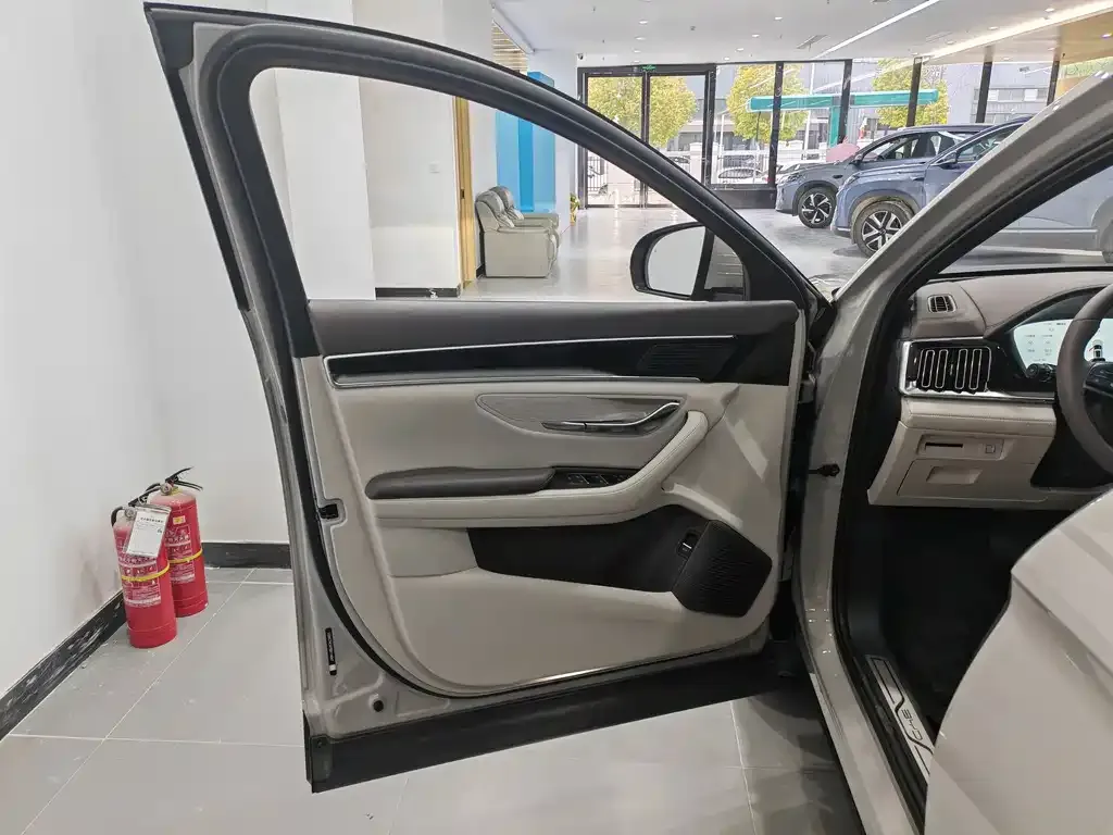 BYD PLUS New Energy 2025 из CN, фото 8