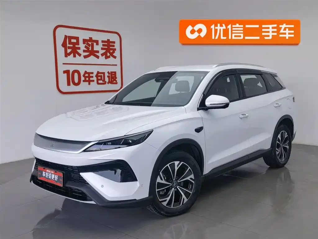 BYD Pro New Energy 2025 из CN, фото 1