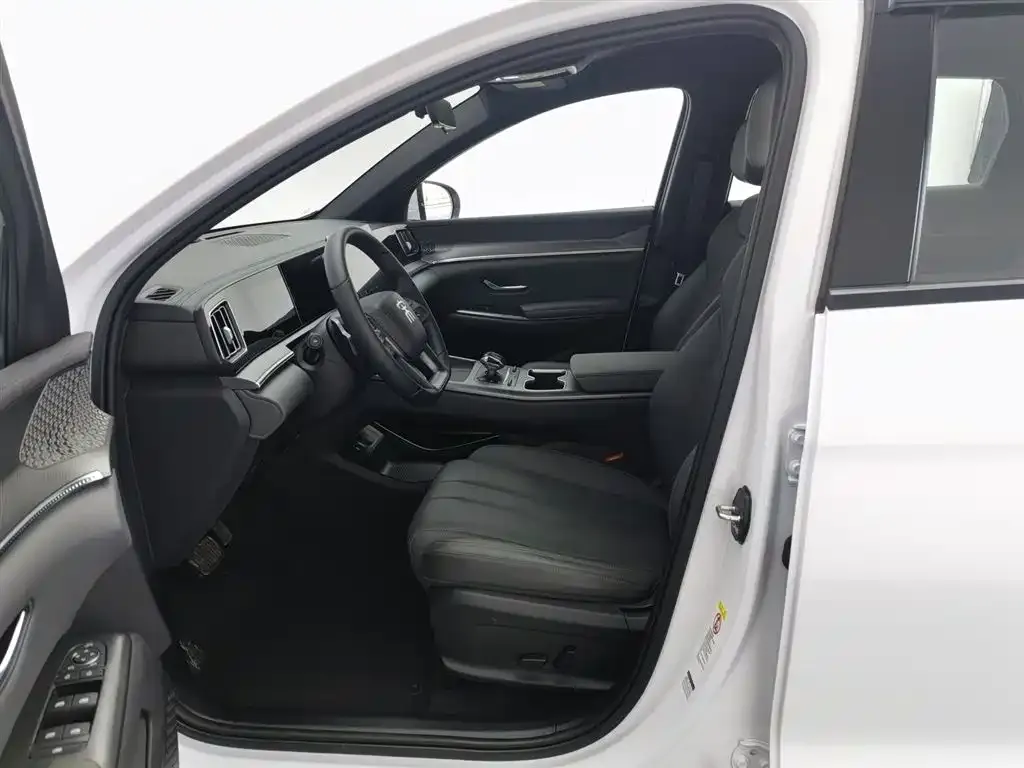 BYD Pro New Energy 2025 из CN, фото 7