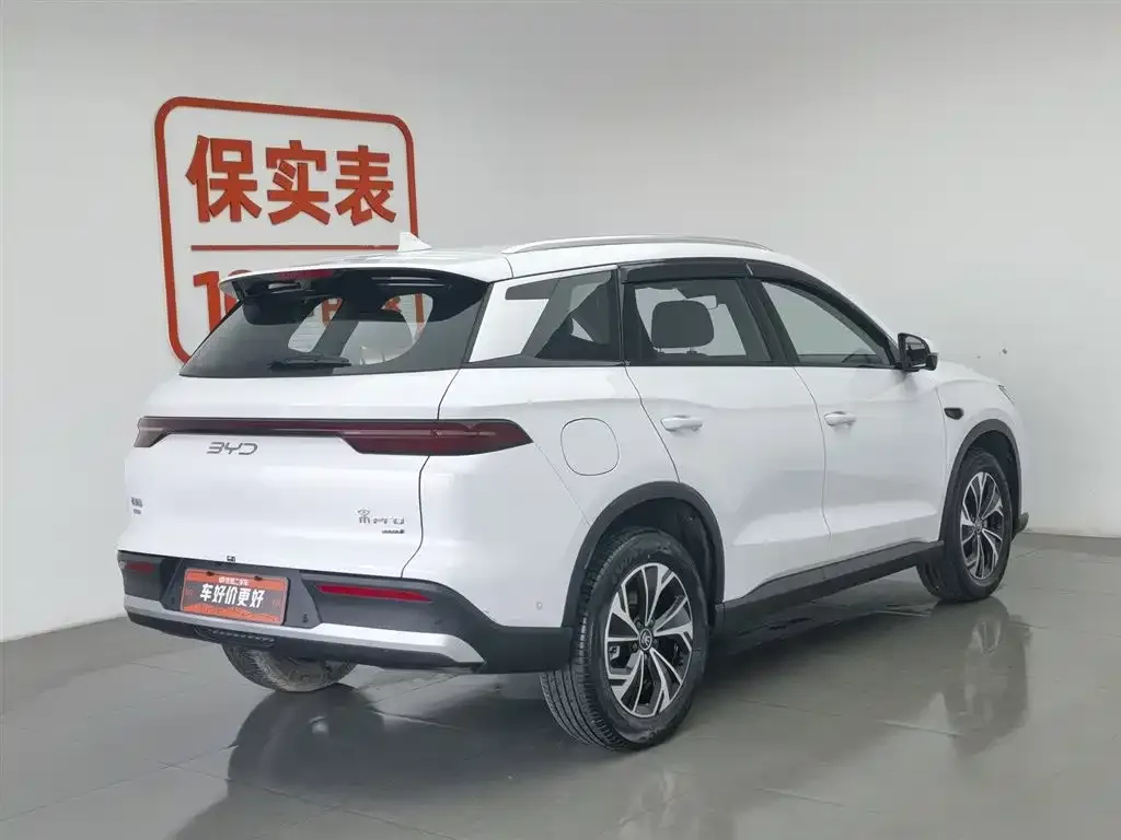 BYD Pro New Energy 2025 из CN, фото 6