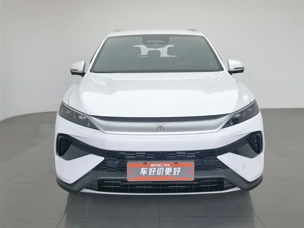 BYD Pro New Energy 2025 из CN, фото 2