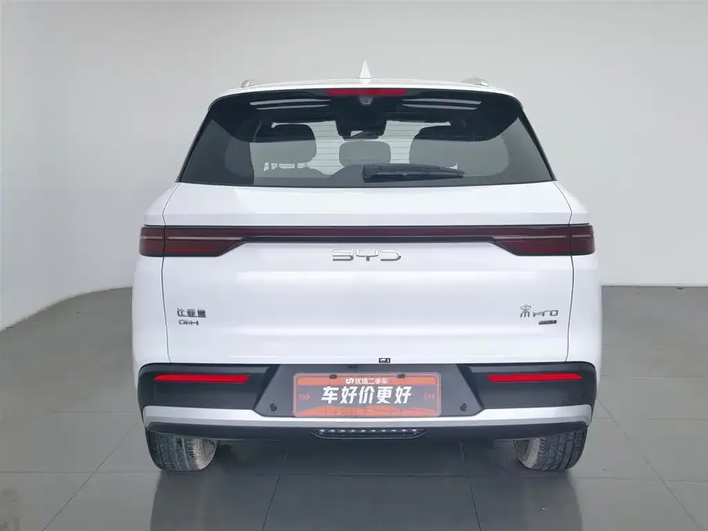BYD Pro New Energy 2025 из CN, фото 3