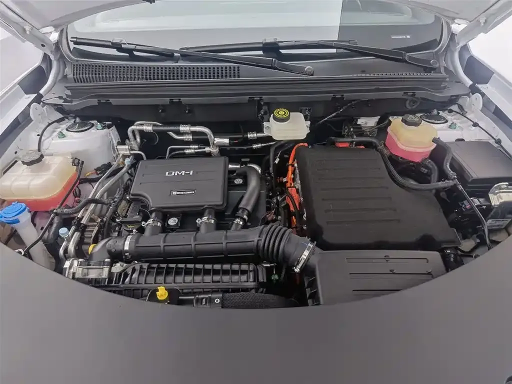 BYD Pro New Energy 2025 из CN, фото 8