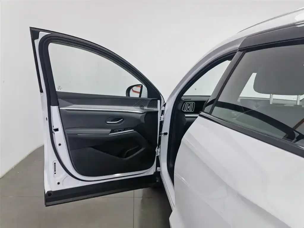 BYD Pro New Energy 2025 из CN, фото 5