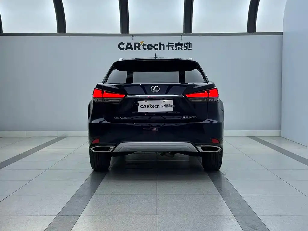 Lexus RX 2021 из CN, фото 10