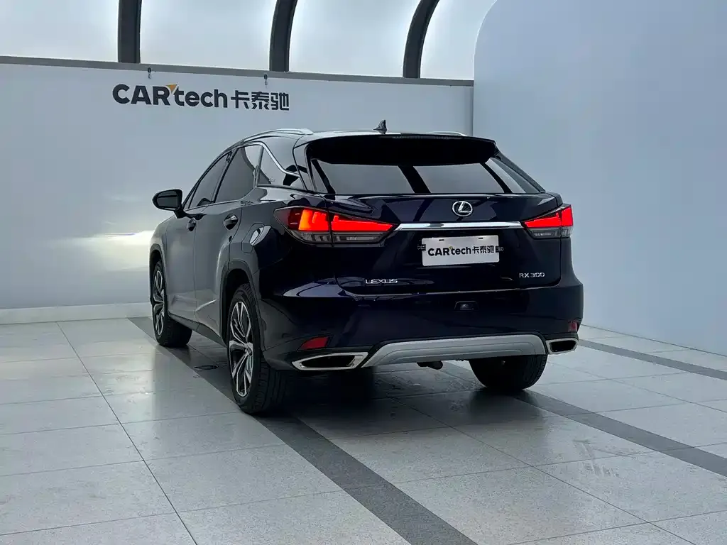 Lexus RX 2021 из CN, фото 4