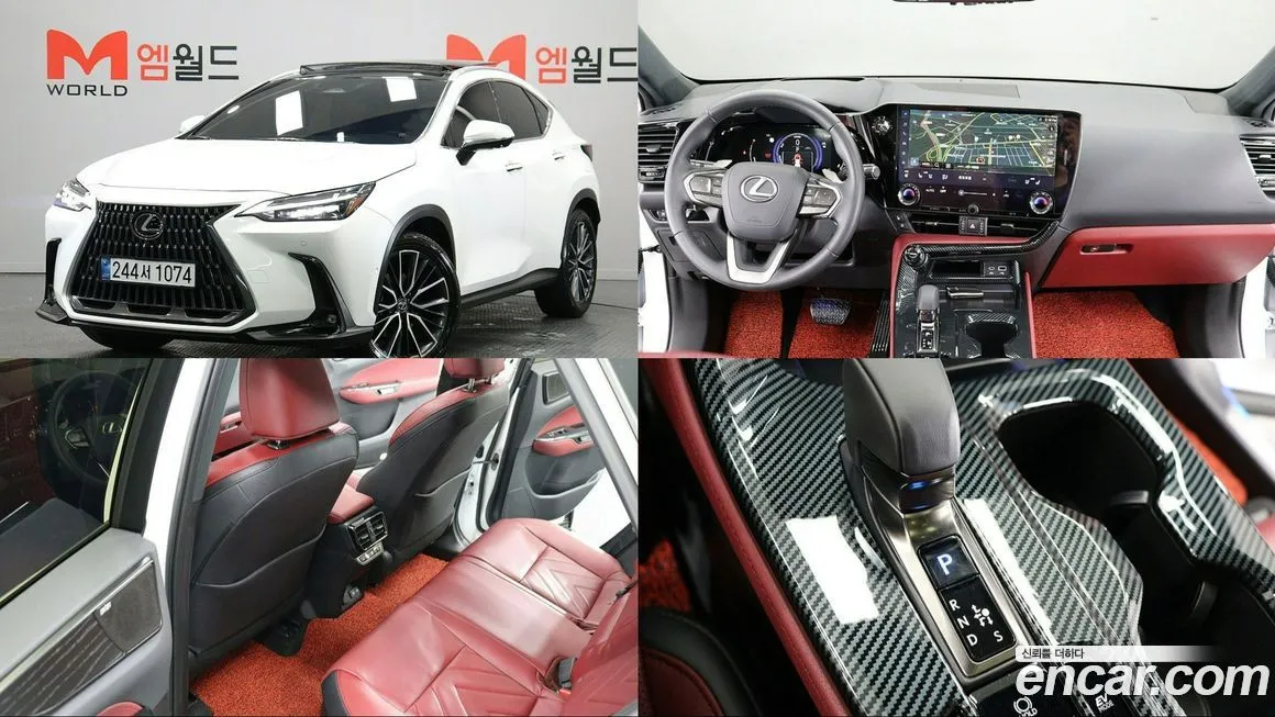 Lexus NX Luxury 1