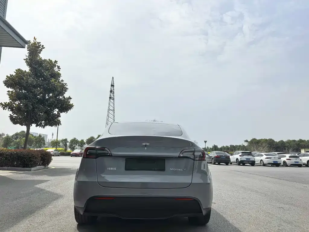 Tesla Model Y — фото 9