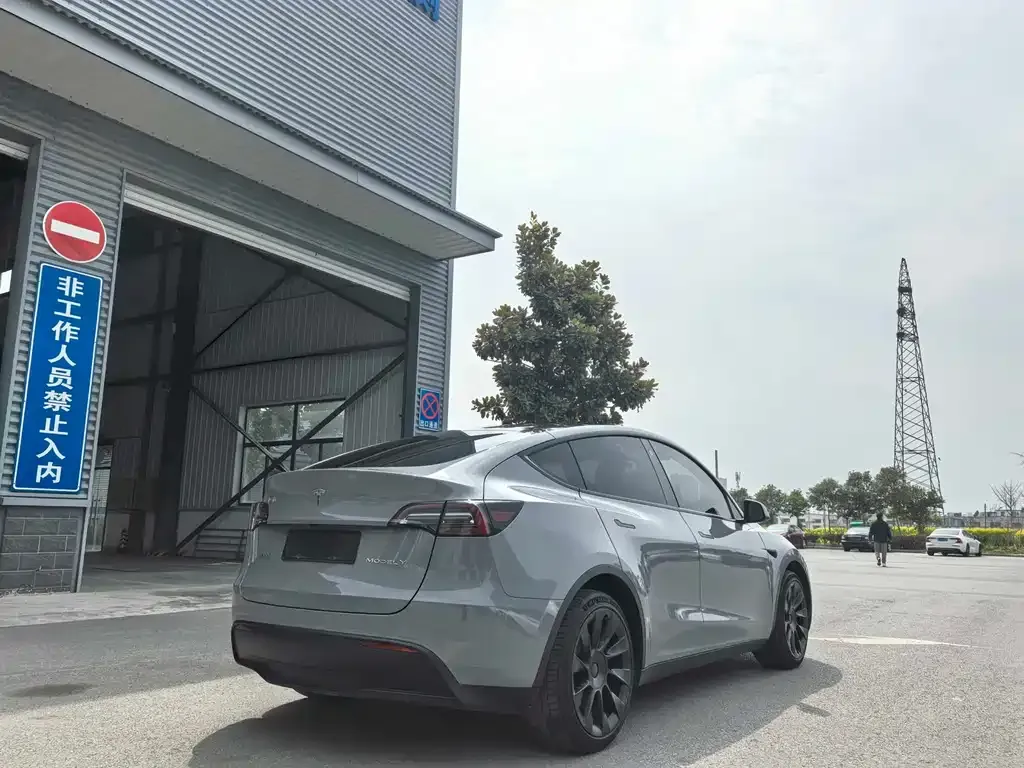 Tesla Model Y — фото 2