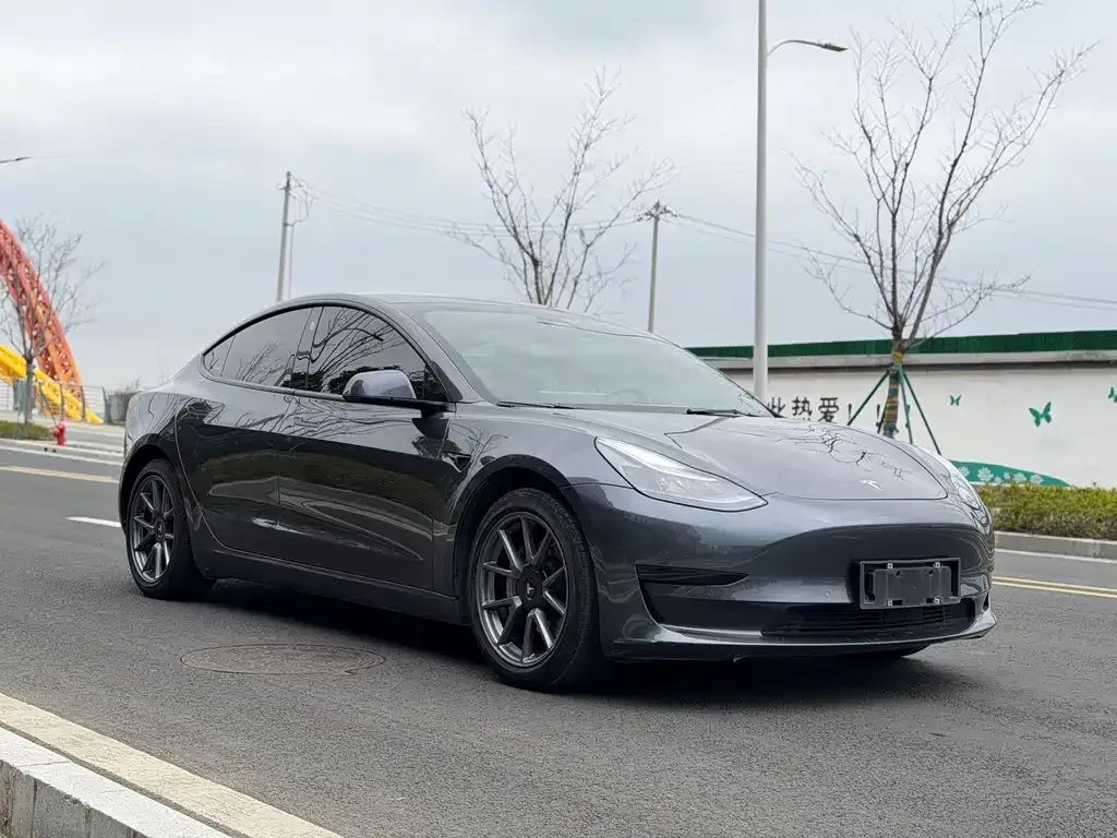 Tesla Model 3 2021 из CN, фото 7
