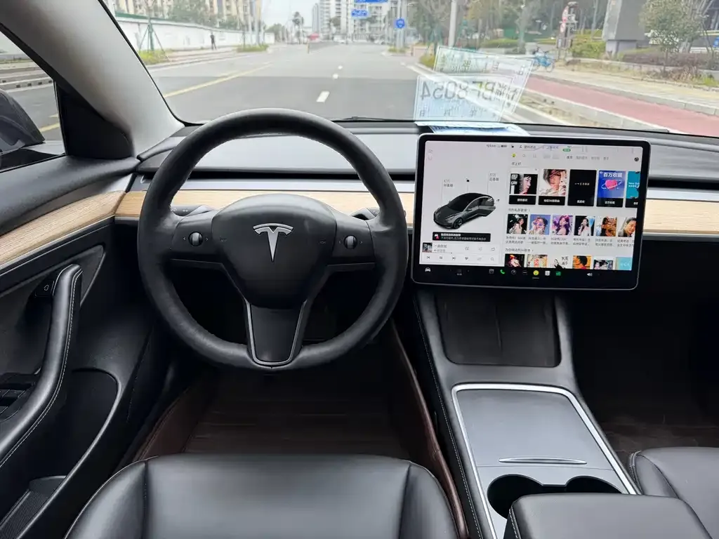 Tesla Model 3 2021 из CN, фото 6