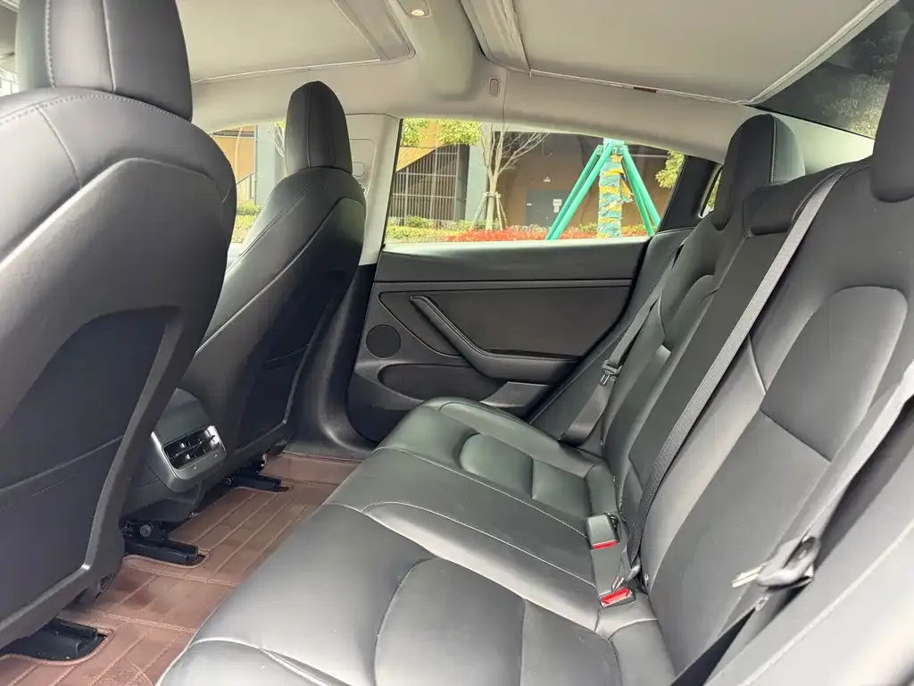 Tesla Model 3 2021 из CN, фото 4