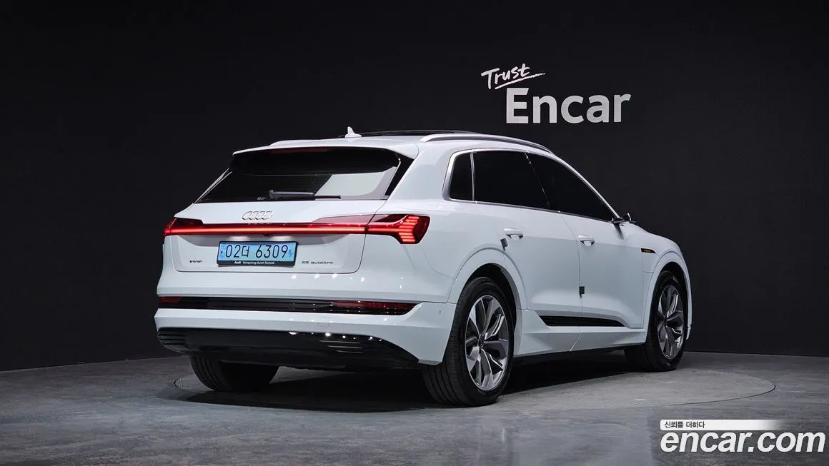 Audi e-tron 2021 из KR, фото 5