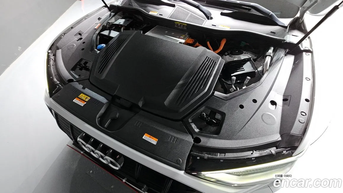 Audi e-tron 2021 из KR, фото 8