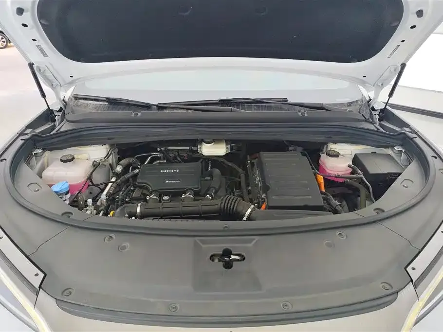 BYD L DM-i 2024 из CN, фото 2