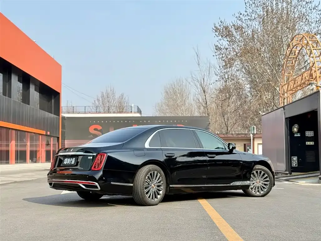 Hongqi Golden Sunflower Guoya 2025 из CN, фото 7