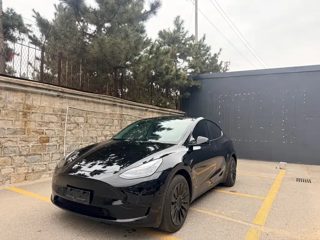 Tesla Model Y — фото 1