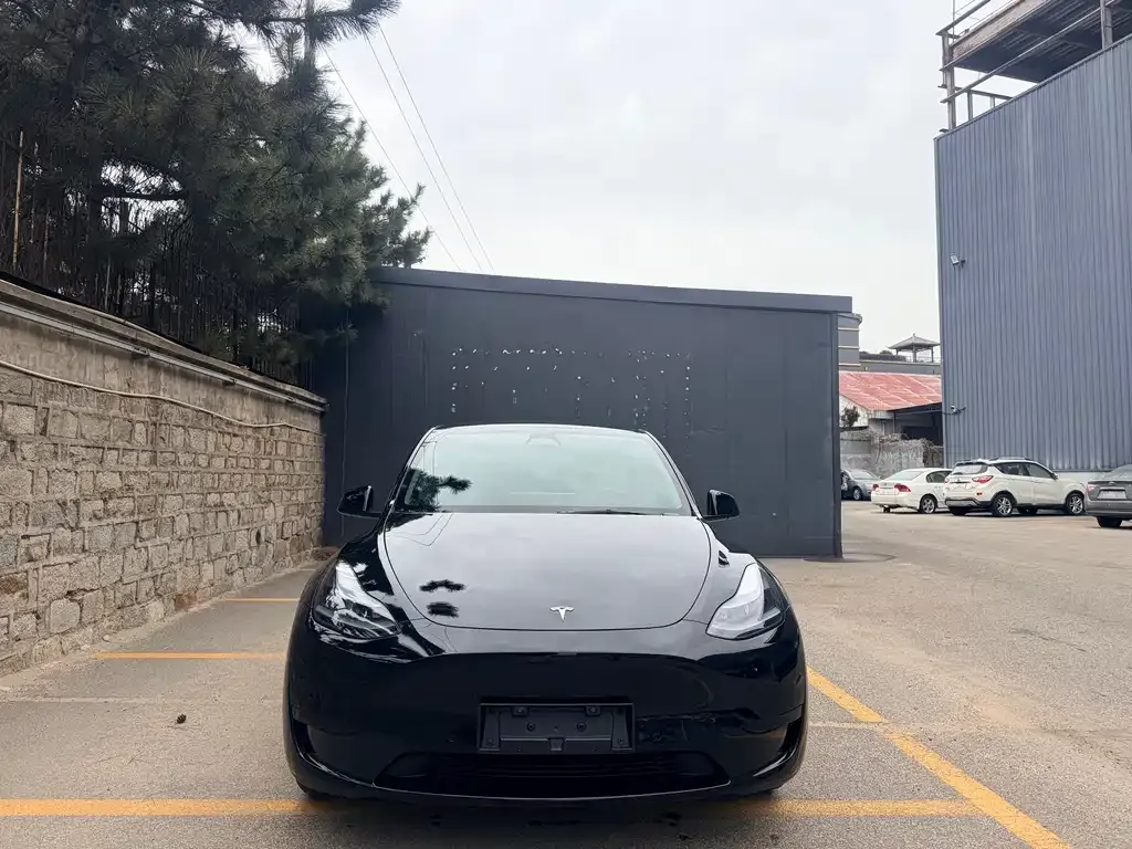 Tesla Model Y — фото 6