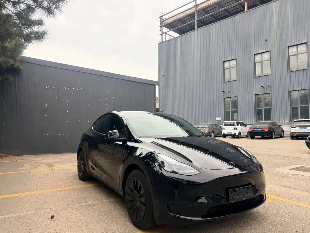 Tesla Model Y — фото 5