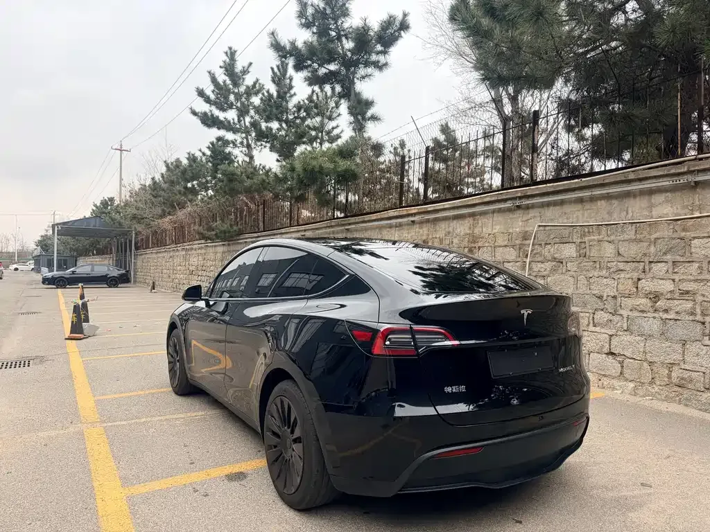 Tesla Model Y — фото 8
