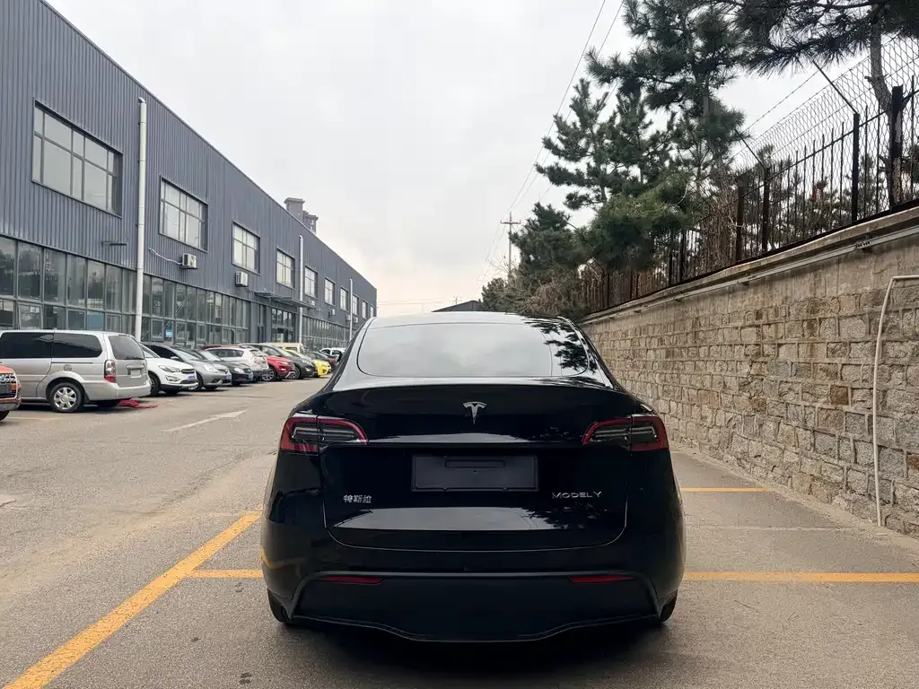 Tesla Model Y — фото 9