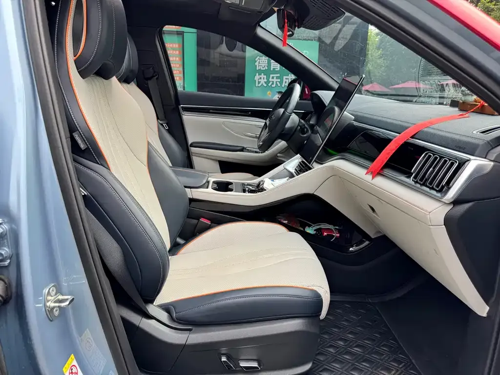BYD PLUS New Energy — фото 10
