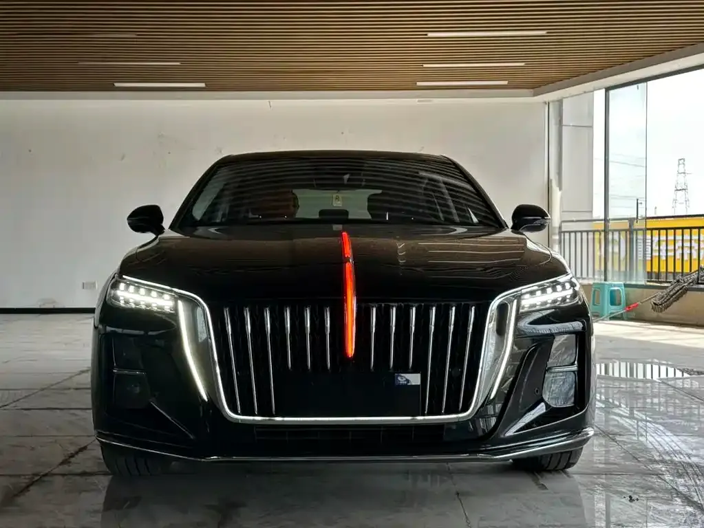 Hongqi H5 2023 из CN, фото 3