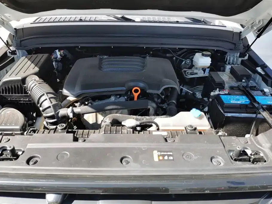 Tank 300 2022 из CN, фото 6