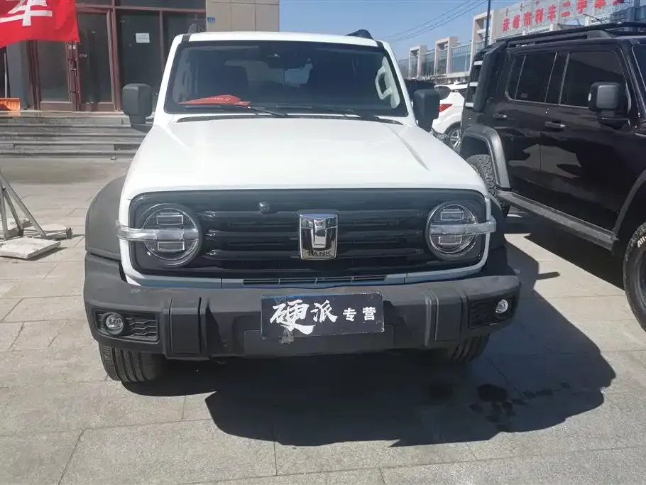 Tank 300 2022 из CN, фото 9