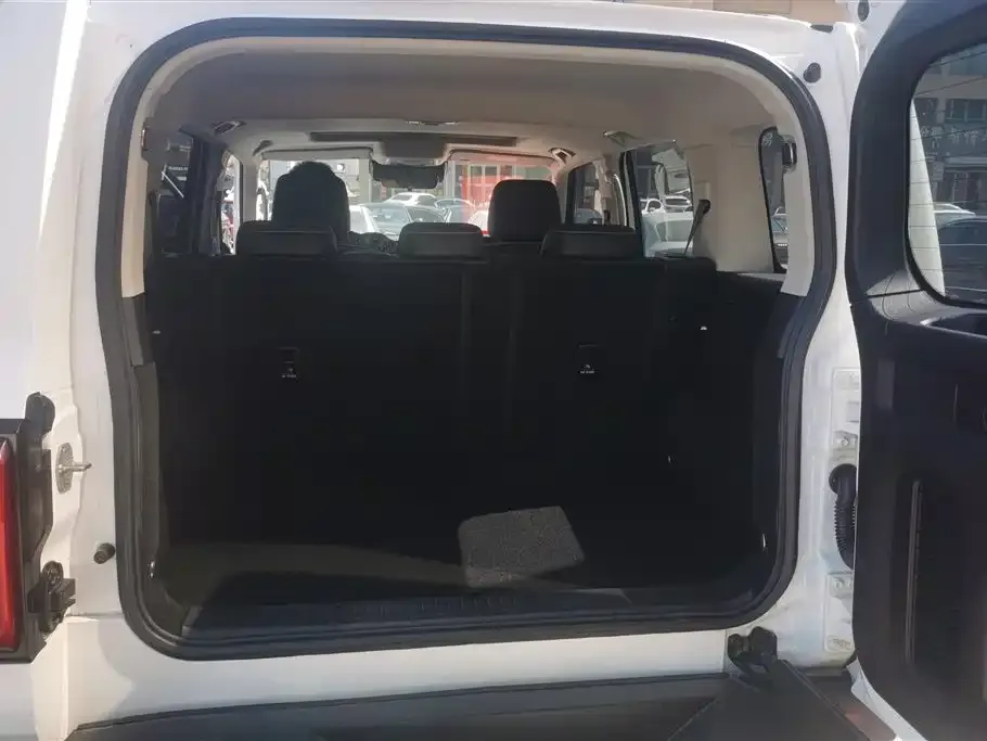 Tank 300 2022 из CN, фото 3