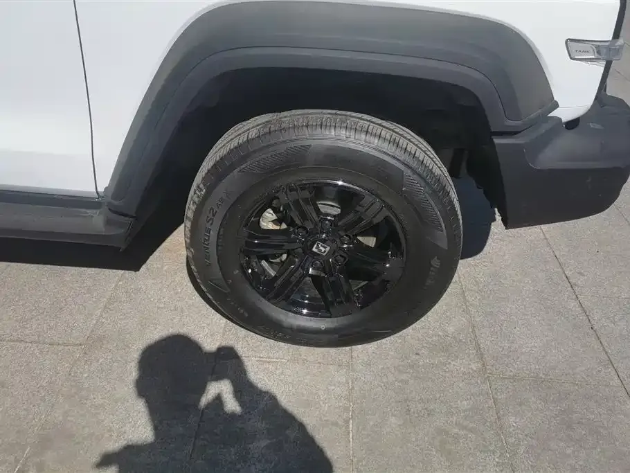 Tank 300 2022 из CN, фото 4