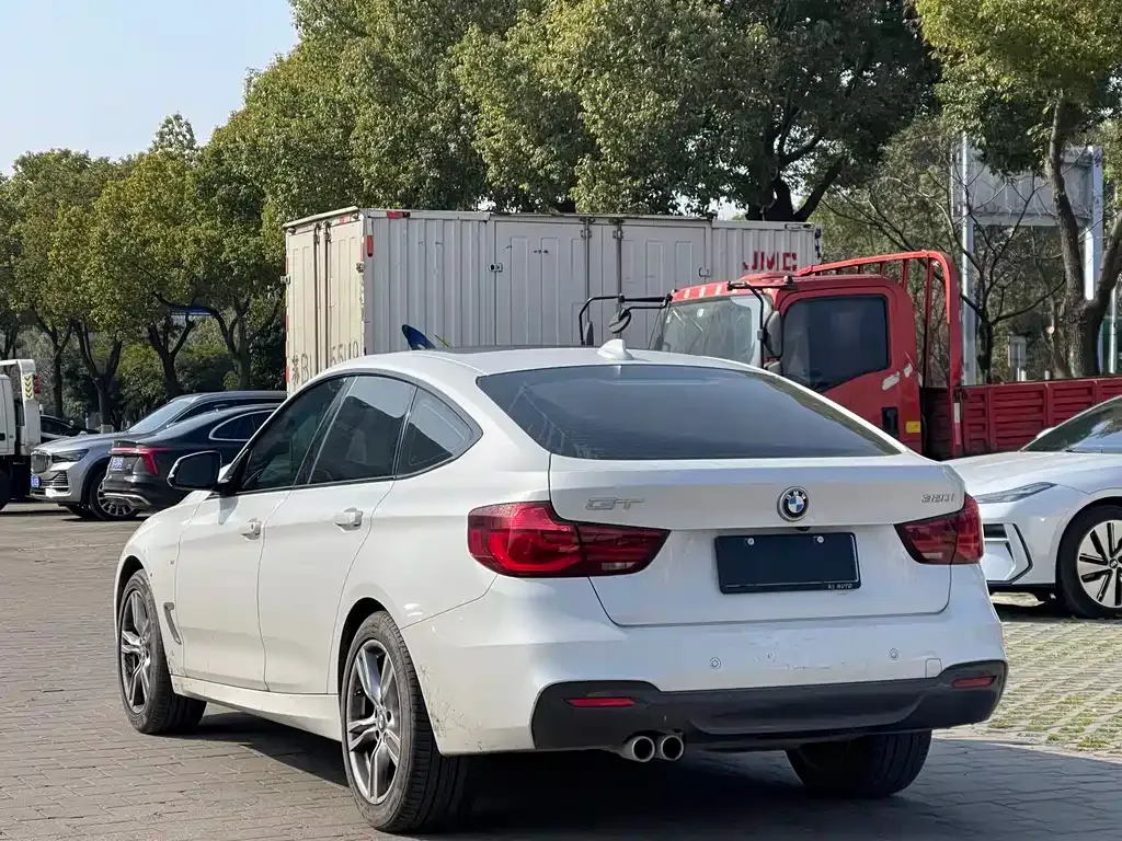 BMW 3 Series GT 2021 из CN, фото 6