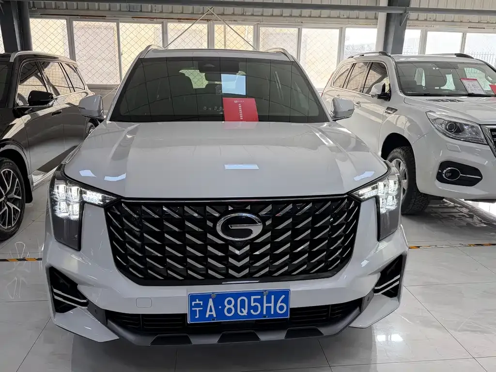 GAC Motor Trumpchi GS8 2024 из CN, фото 7