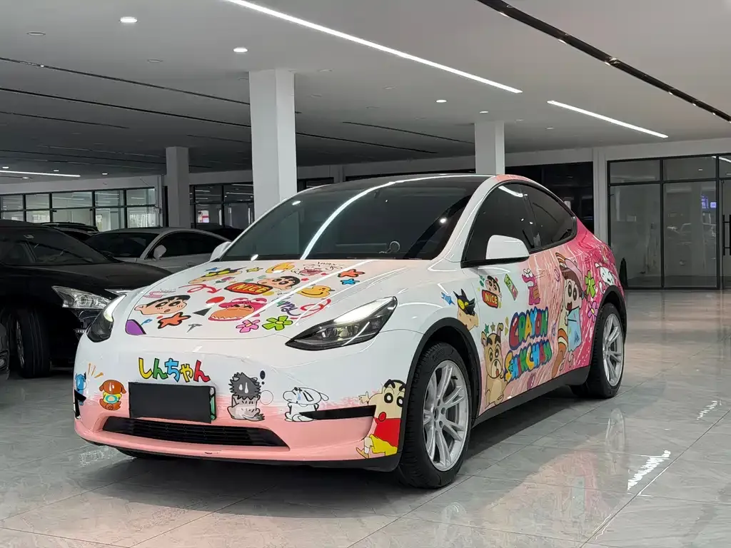 Tesla Model Y 2022 из CN, фото 1