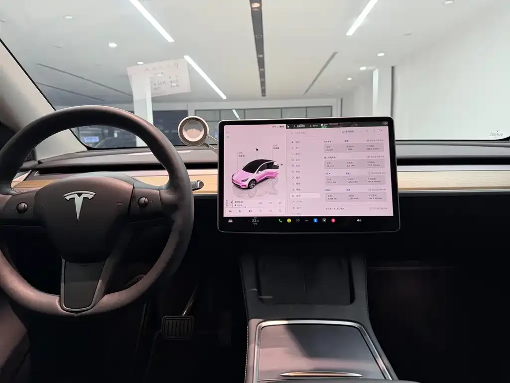 Tesla Model Y 2022 из CN, фото 2