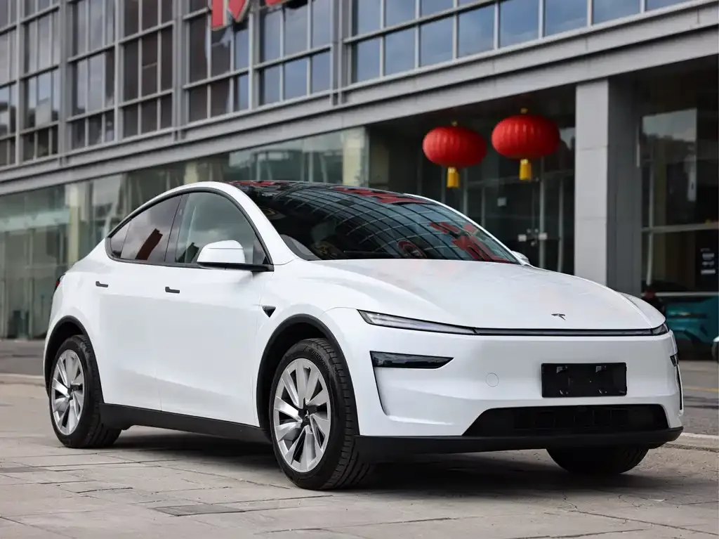 Tesla Model Y 2025 из CN, фото 9