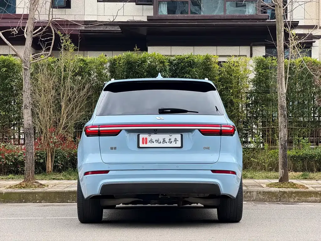 Li Auto ONE 2021 из CN, фото 5