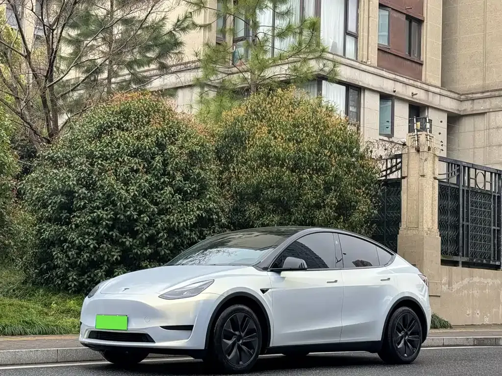 Tesla Model Y — фото 1