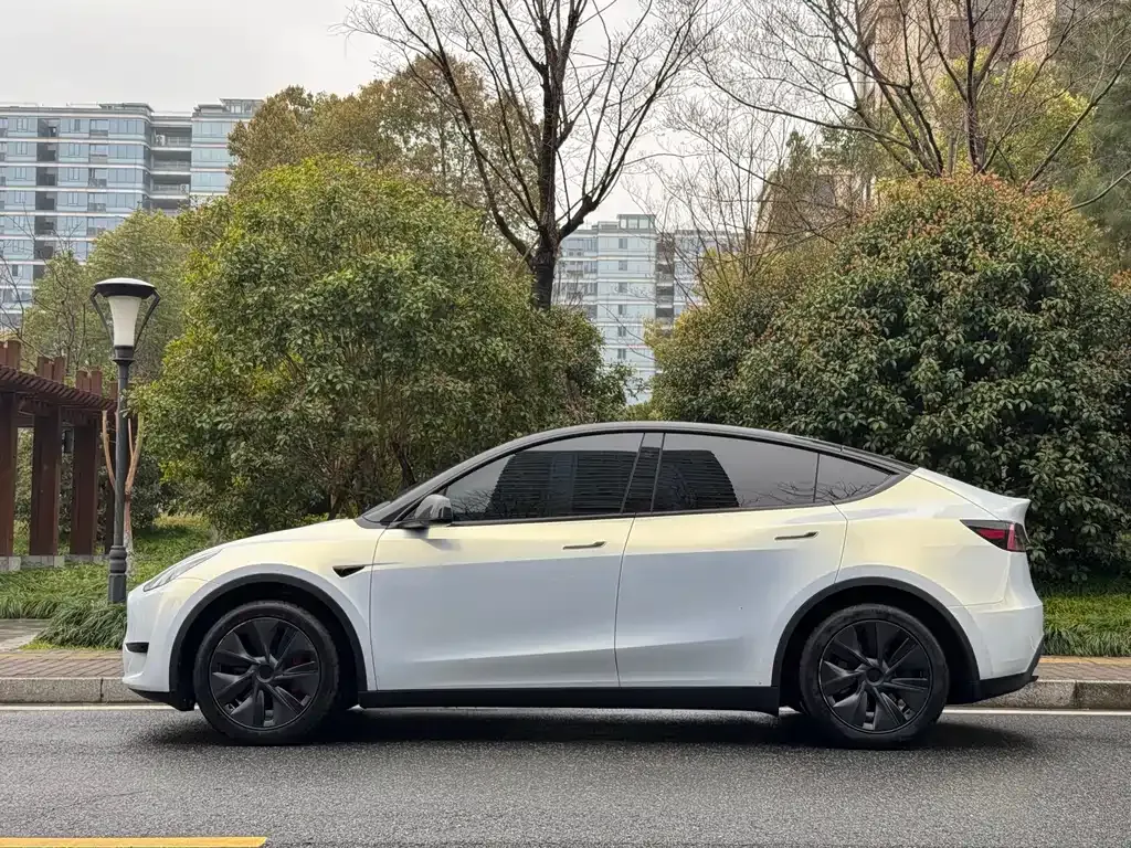 Tesla Model Y — фото 10