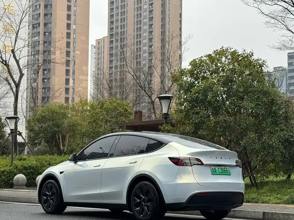 Tesla Model Y — фото 9
