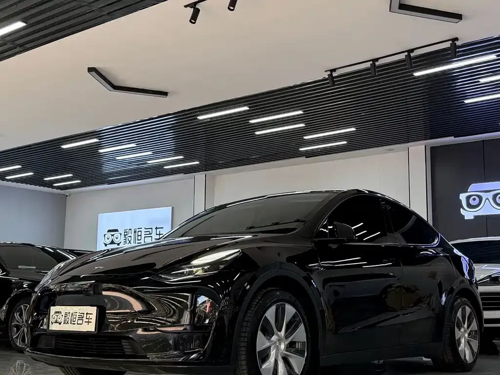 Tesla Model Y — фото 1
